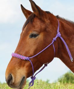 Alternative view of Horse Rope Halter with Stylish Noseband Hollow-out Style Purple