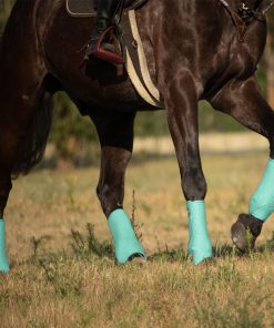 Alternative view of Harrison Howard Horse Sport Shock-Absorbing Boots SMB Pack of 4