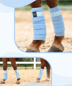 20250807031308318 scaled