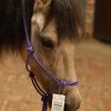 7编绳马笼头3