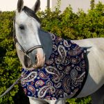 Harrison Howard Heat-Insulating Breathable Stretchy Shoulder Guard Anti Rub Bib for Horse - Image 3