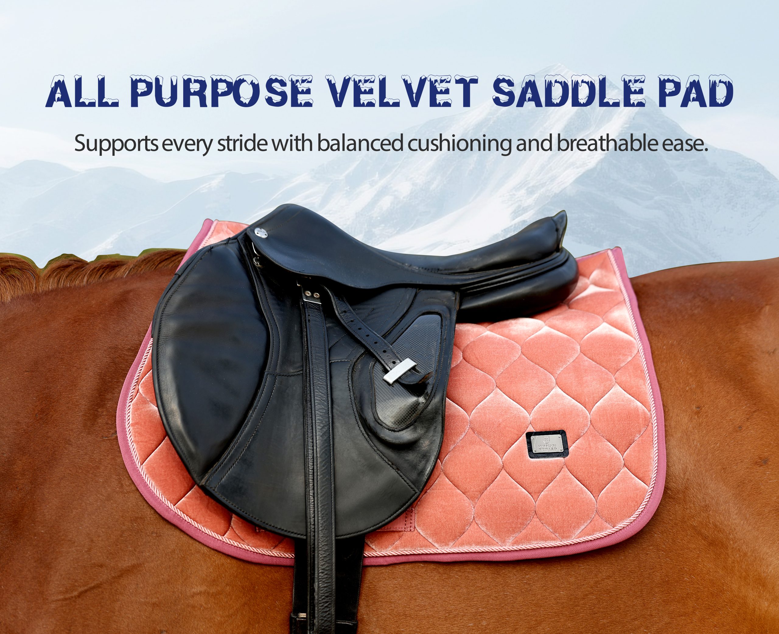 大图-马鞍垫