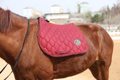 Why Fit Matters: The Importance of Proper Saddle Pad and Tack Fit for Horse Comfort