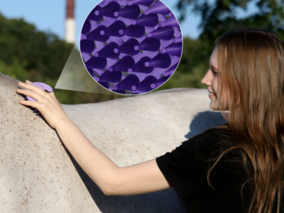 Grooming Day: Also Known as “Why Is My Human Stealing My Dirt?”