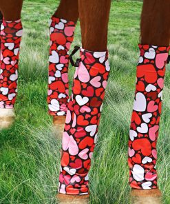 Harrison Howard Loose Fitting Horse Leg Socks Horse Socks Comfortable and Easy to Wear Set of 4