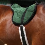 Harrison Howard Equestrian Saddle Pad Horse Riding Pad Bareback Pad with Girth - Image 6
