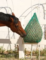Harrison Howard Slow Feed Hay Net for Horses with 2"x2" Mesh Holes Goat Feeder - Image 6