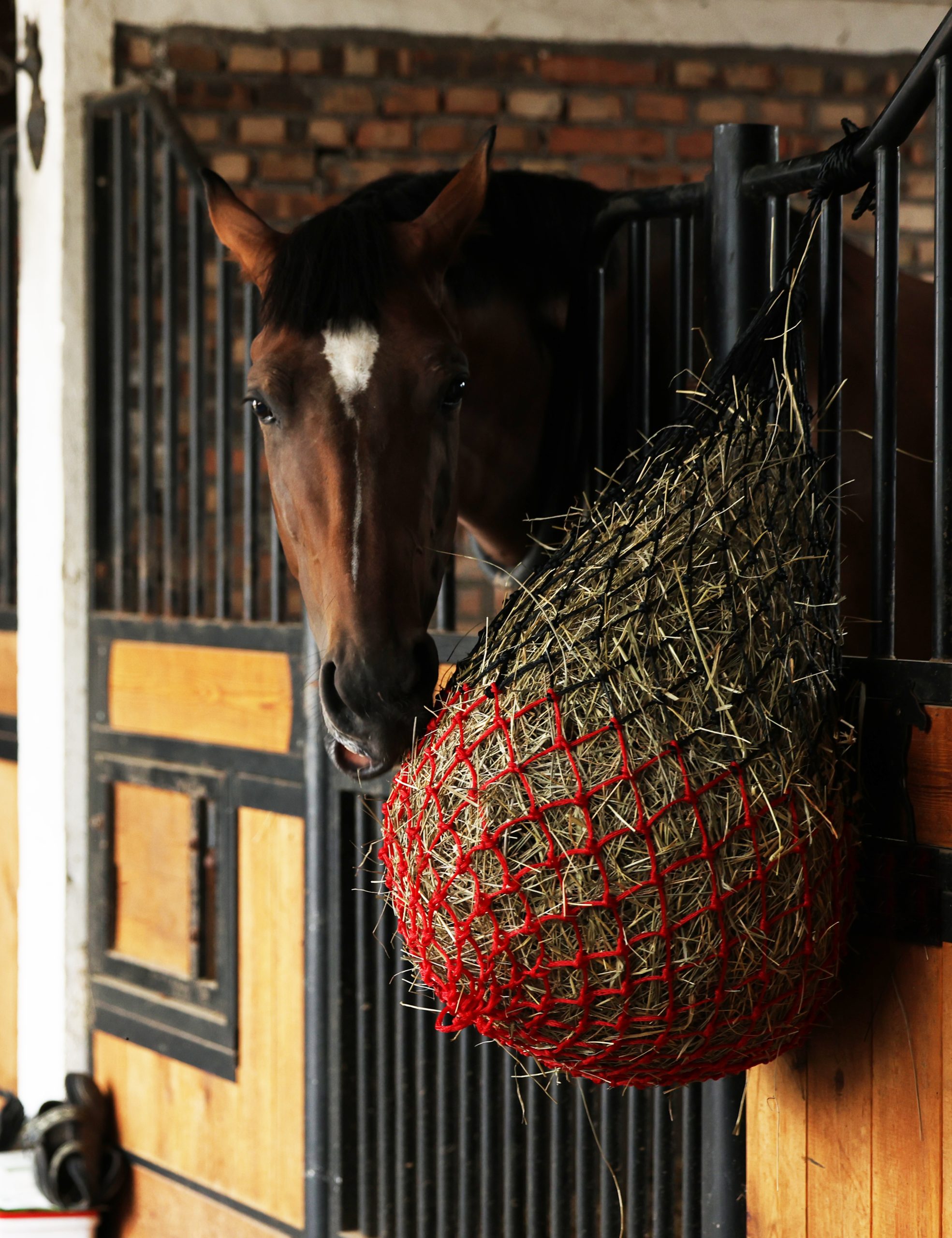Harrison Howard Dual-Color 40'' Slow Feed Hay Net for Horses with 2"x2" Mesh Holes Goat Feeder 2PCS - Image 7