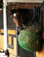 Harrison Howard Dual-Color 40'' Slow Feed Hay Net for Horses with 2"x2" Mesh Holes Goat Feeder - Image 7