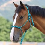 Harrison Howard Rope Halters for Horses Super Sturdy Horse Rope Training Halter with 4 Knot 1/4" Stiff Halter Cord - Image 2