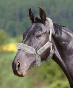 Harrison Howard Quick Grip-on Fitting Injury Prevention Horse Halter Fleece Cover Set 9 pieces