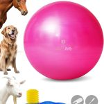 Harrison Howard Howdy Bally Mega Horse Play Ball Anti-Burst Giant Horse Ball 22 Inch-Magenta