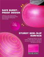 Harrison Howard Howdy Bally Mega Horse Play Ball Anti-Burst Giant Horse Ball 22 Inch-Magenta - Image 3