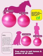 Harrison Howard Howdy Bally Mega Horse Play Ball Anti-Burst Giant Horse Ball 22 Inch-Magenta - Image 5
