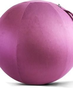 Howdy Bally Protective Cover for Home-Use Yoga/Exercise/Balance Ball with Convenient Carry Handles, Foldable Durable Anti-Burst Cover for Sitting Ball Chair Office Use 65cm-Purple