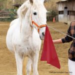 Harrison Howard Equestrian Training Flag 4 Pieces Equestrian Nylon Flag without Flagpole - Image 4