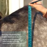 Harrison Howard Flexible Horse Soft Measuring Tape for Equine Use Accurate Weight and Height Scale Standard & Metric Measurements (3/Pack)  (6.6 feet) - Image 4