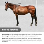 Harrison Howard Flexible Horse Soft Measuring Tape for Equine Use Accurate Weight and Height Scale Standard & Metric Measurements (3/Pack)  (6.6 feet) - Image 5