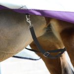 Harrison Howard Half-Way Elastic Horse Leg Straps Replacement Horse Blanket Sheet Leg Straps Adjustable Length w/Flexibility - Image 2