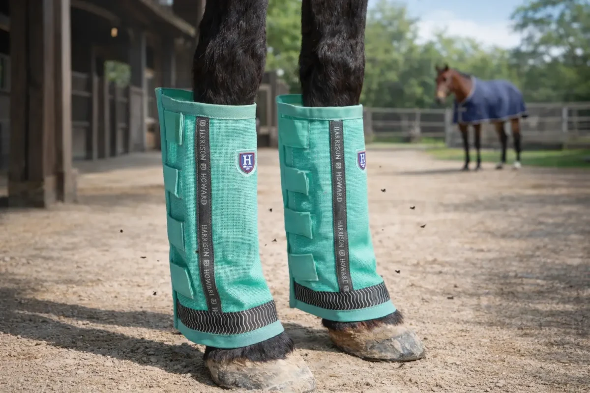 Keeping Legs Calm and Comfortable