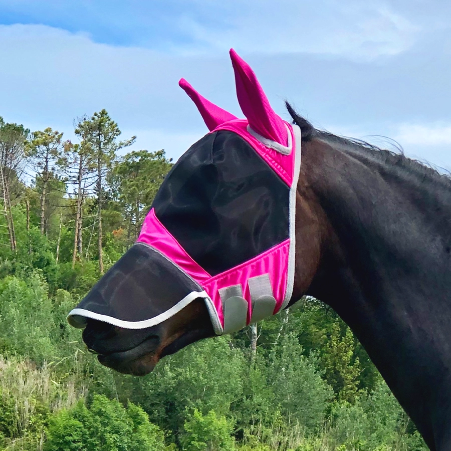 A dark horse outdoors wearing a bright pink horse fly mask with mesh face covering and tall ear covers.