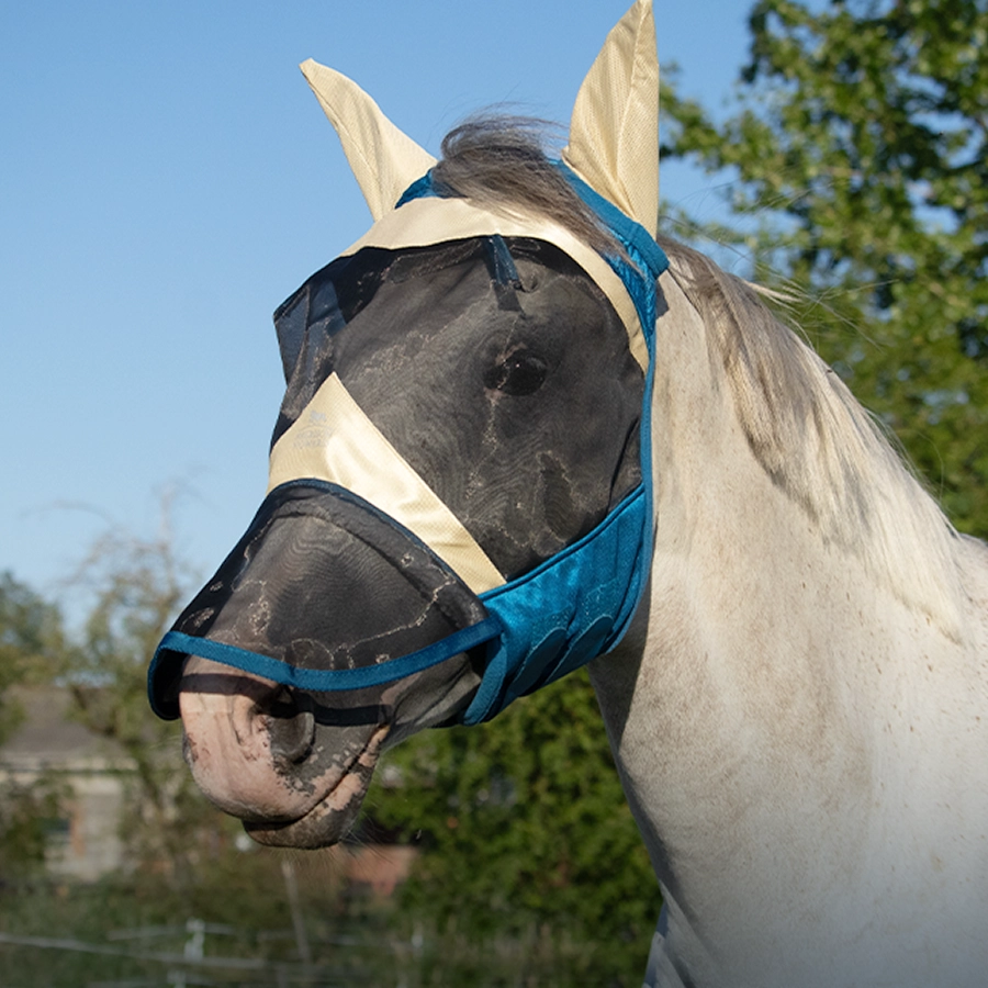 A gray horse in sunlight wearing a cream-and-blue horse fly mask with a black mesh face panel, outdoors near trees.