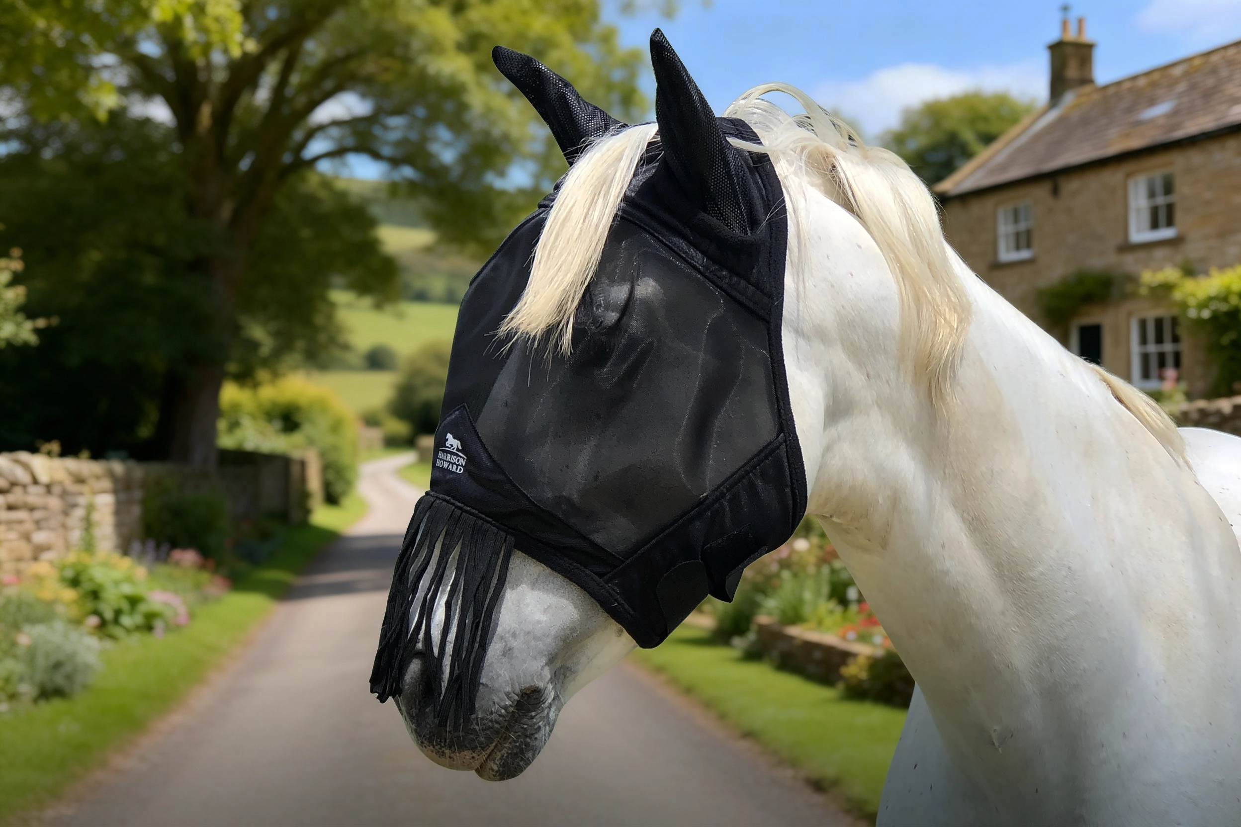 Side view of a white horse wearing a black horse fly mask with ear covers and long fringe over the muzzle, outdoors by a stone cottage.