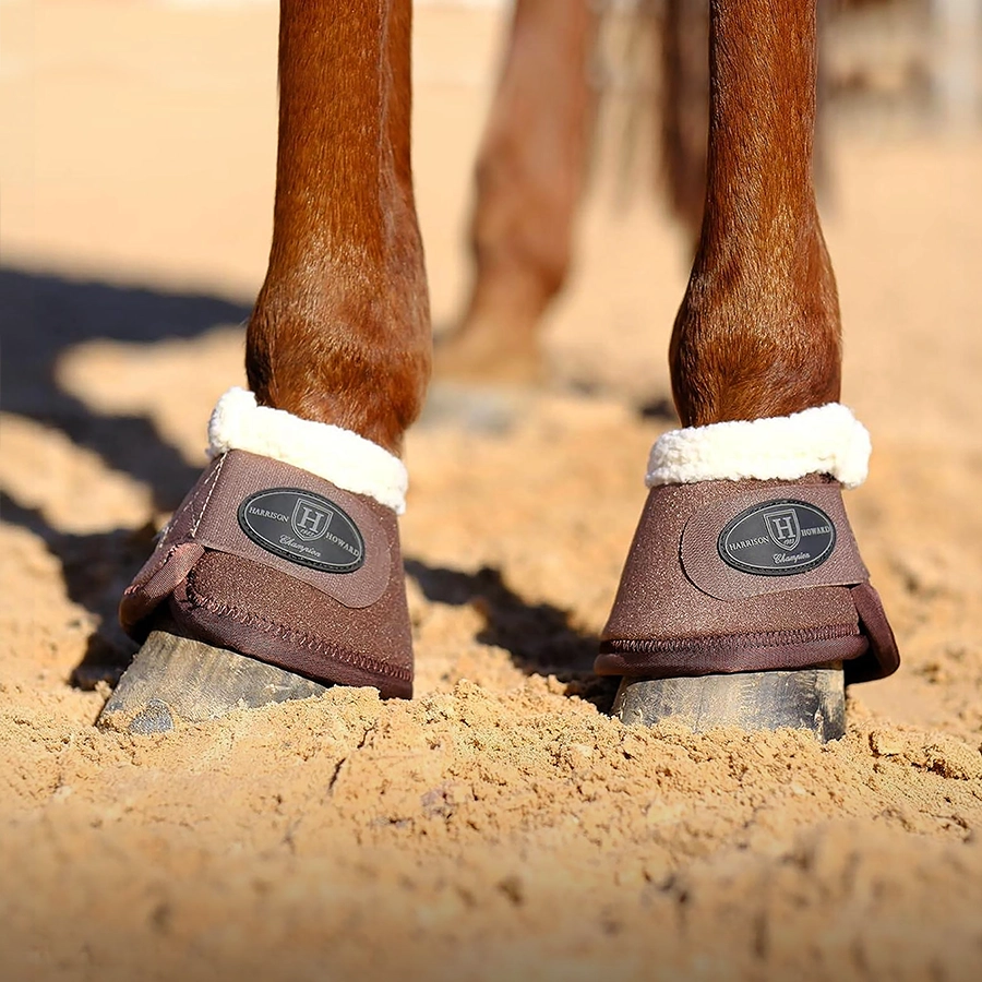 Horse Boots