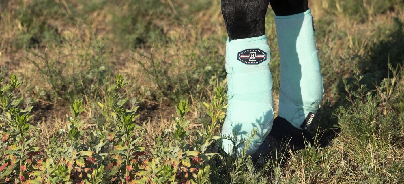 Horse Boots