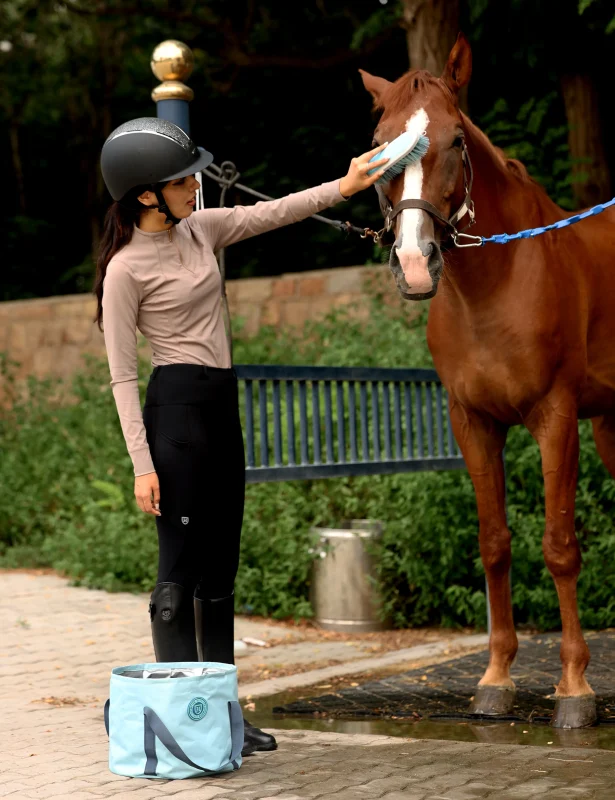 Everyday horse care with grooming gear as a rider brushes a chestnut horse