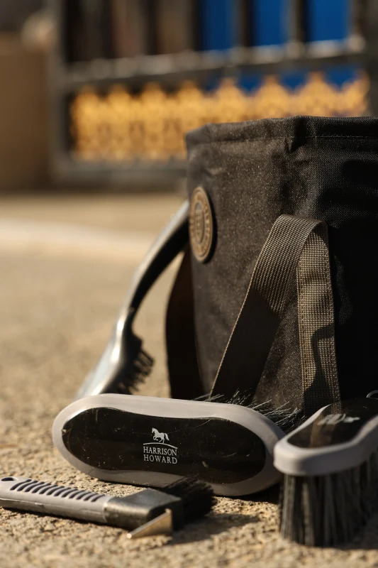 Essential Grooming Gear for Everyday Horse Care