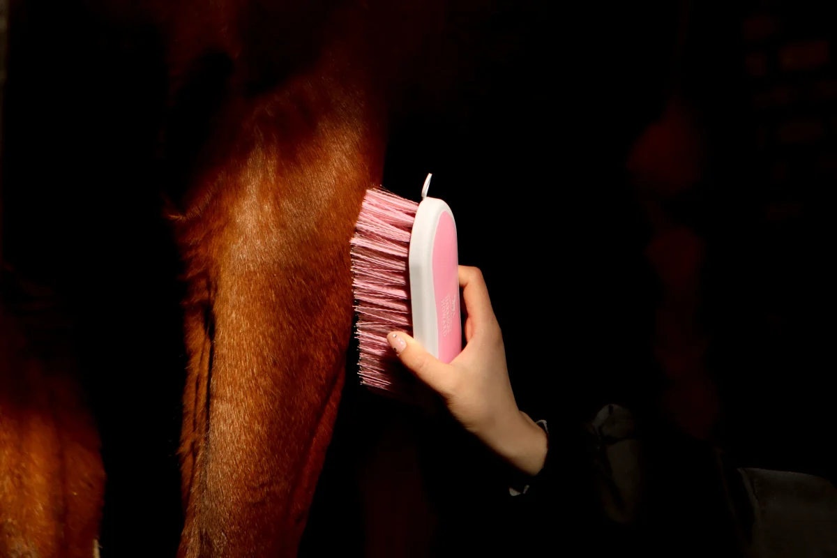 Rider using grooming gear to brush a horse with a soft body brush