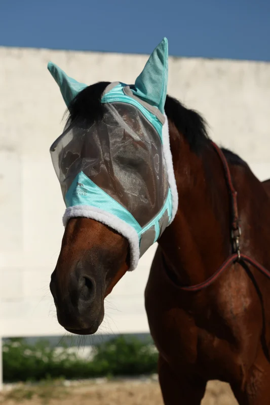 How Horse Fly Masks Support a More Relaxed Training Environment