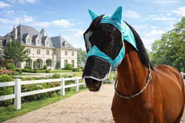 Horse wearing a turquoise fly mask in an outdoor stable setting for full face protection