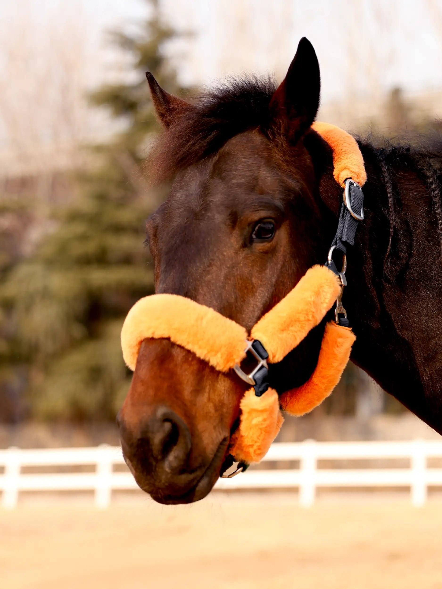 Gentle Touch Fleece Halter Covers for Horses, Set of 9
