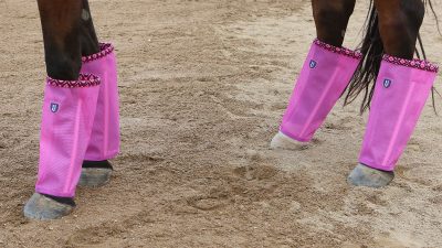 Fly Boots for Horses: Protecting Your Equine Companion with Style