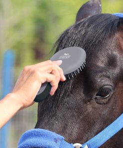 ShineWell Mane and Tail Brush