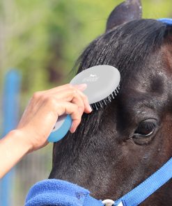 ShineWell Mane and Tail Brush