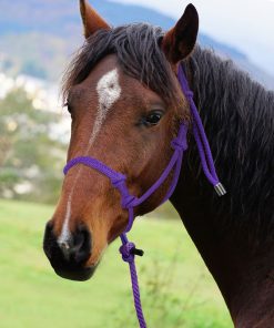 4 Knots Rope Halter with Lead Purple 12 5 77