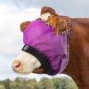 Cattle Livestock Fly Mask